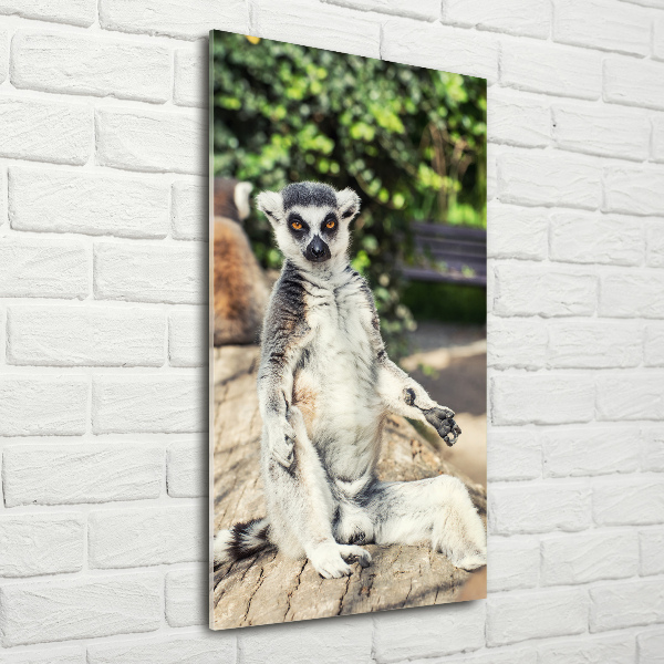 Verticale glasfoto Lemur
