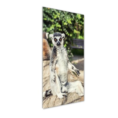 Verticale glasfoto Lemur
