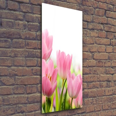 Verticale glasfoto Roze tulpen
