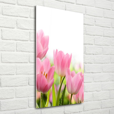 Verticale glasfoto Roze tulpen
