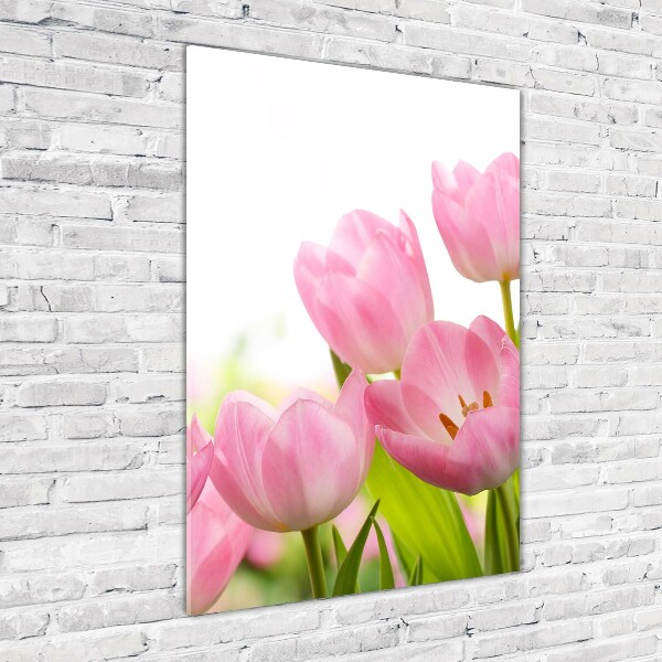Verticale glasfoto Roze tulpen