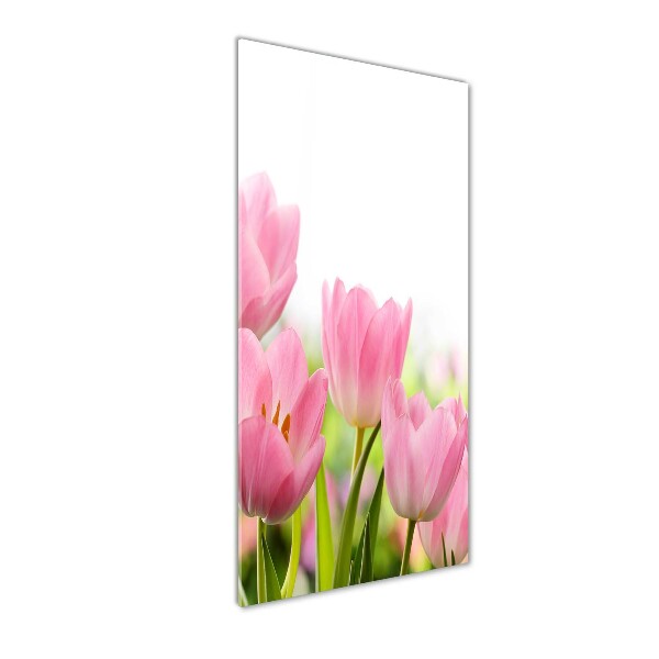 Verticale glasfoto Roze tulpen
