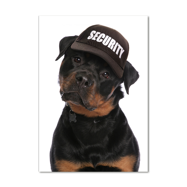 Verticale glasfoto Rottweiler met pet