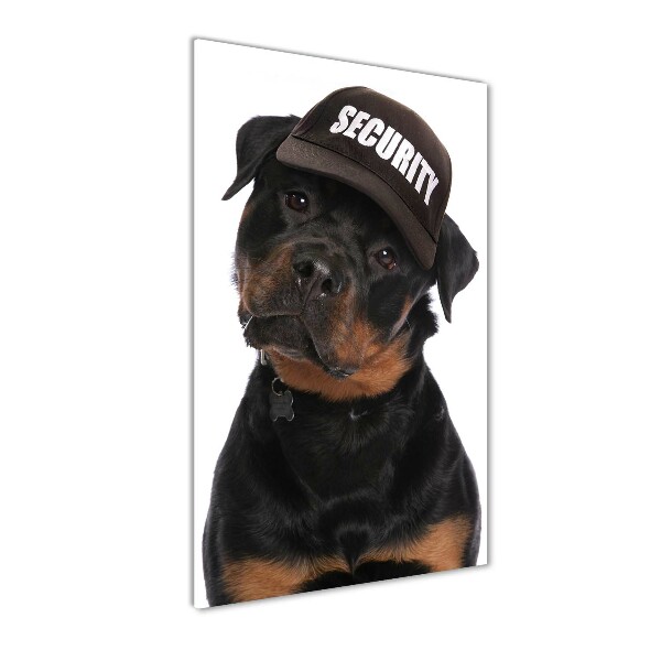Verticale glasfoto Rottweiler met pet