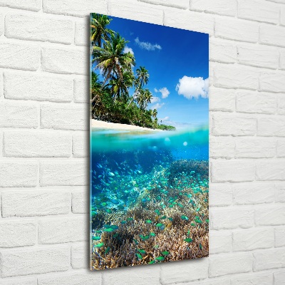 Verticaal glasschilderij Koraalrif