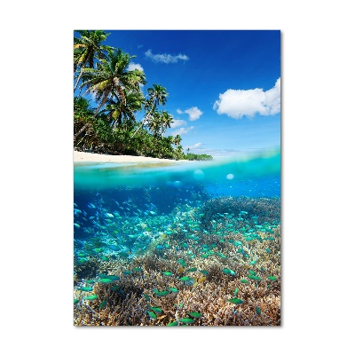 Verticaal glasschilderij Koraalrif