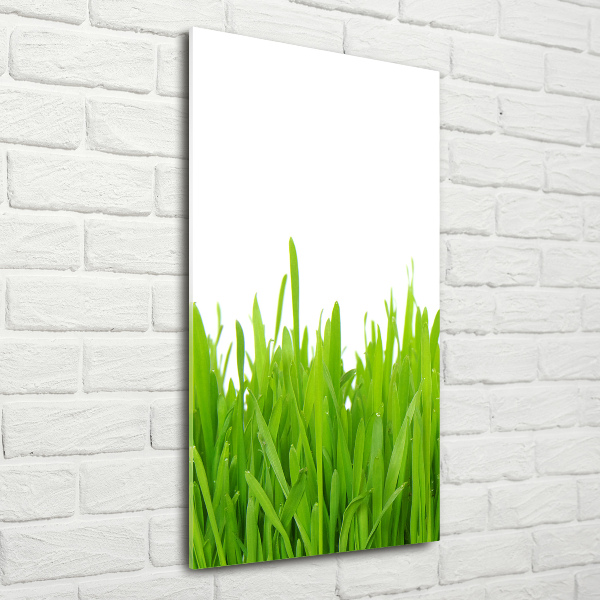 Verticale glasfoto Groen gras