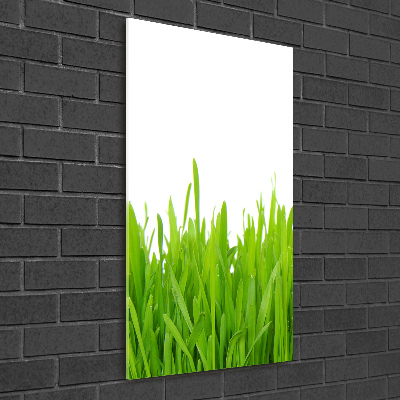 Verticale glasfoto Groen gras