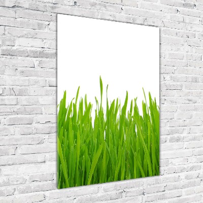 Verticale glasfoto Groen gras