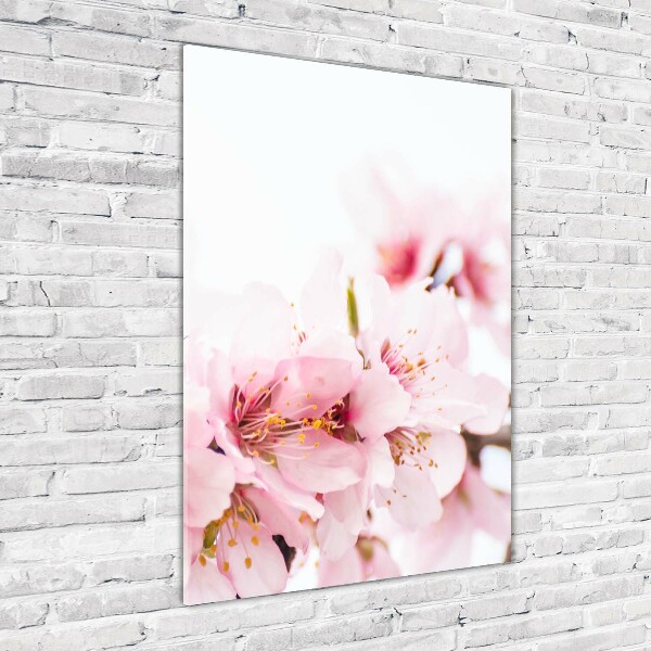 Verticale glasfoto Amandelbloesems