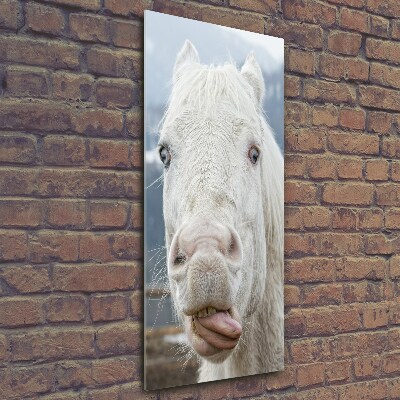 Verticale glasfoto Gek wit paard