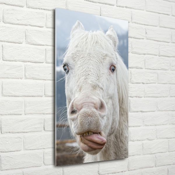 Verticale glasfoto Gek wit paard