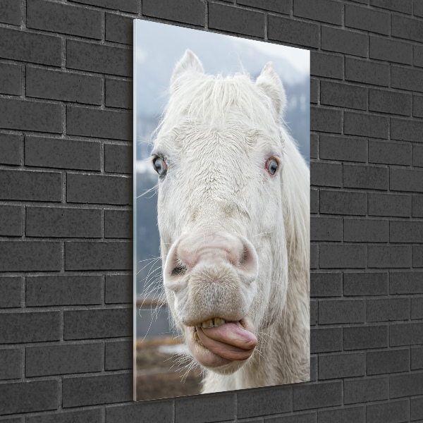Verticale glasfoto Gek wit paard