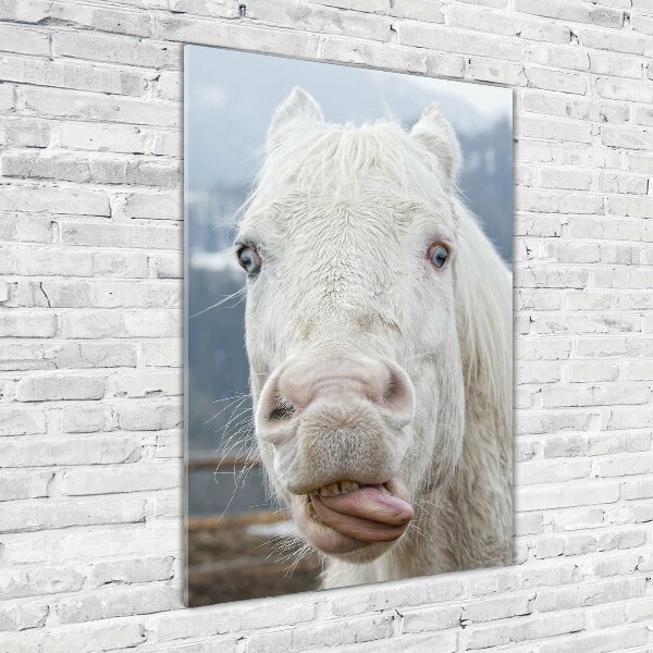 Verticale glasfoto Gek wit paard