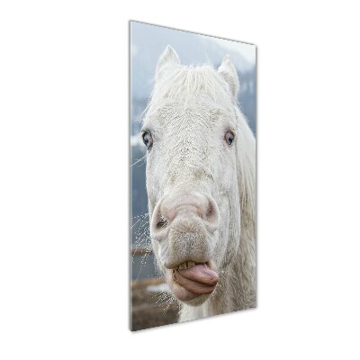 Verticale glasfoto Gek wit paard