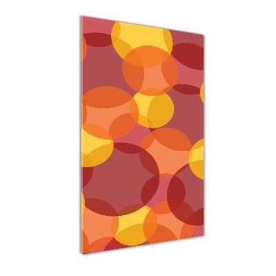 Verticale glasfoto Kleurrijke cirkels