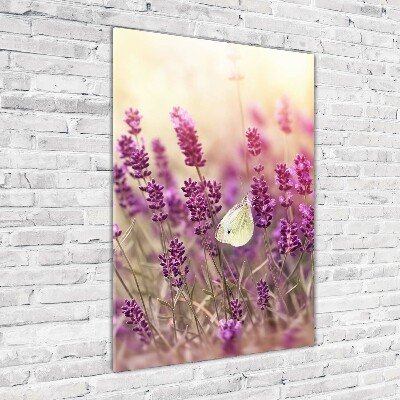 Verticale glasfoto Lavendelbloemen