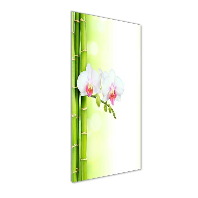Verticale foto op glas Orchidee en bamboe