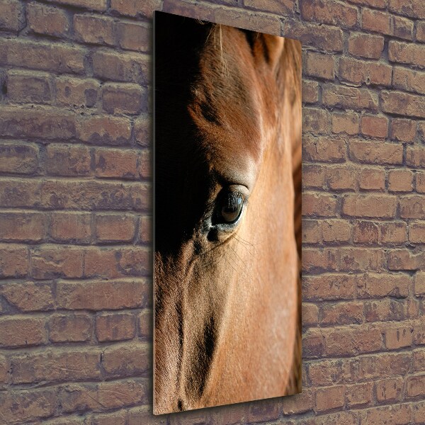 Verticale foto op glas Paard