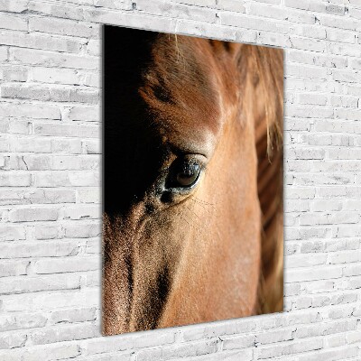 Verticale foto op glas Paard