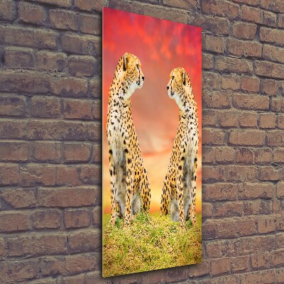 Verticale glasfoto Twee cheetahs