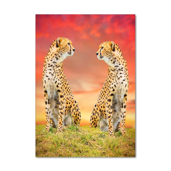 Verticale glasfoto Twee cheetahs