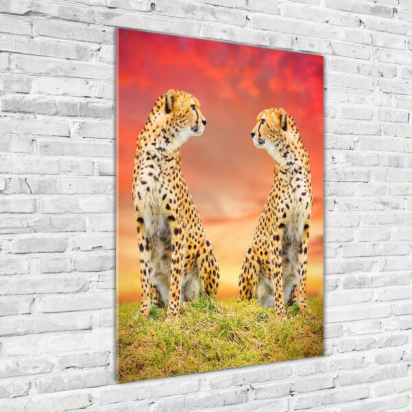 Verticale glasfoto Twee cheetahs
