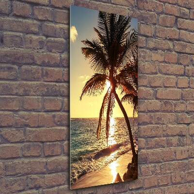 Verticale foto op glas Tropisch strand