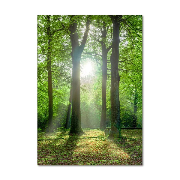 Verticaal glasschilderij De zon in het bos