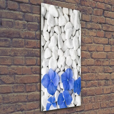 Verticale glasfoto Hortensia-stenen