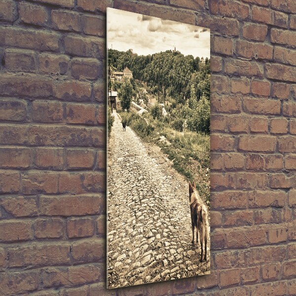 Verticale glasfoto Twee honden van de heuvel