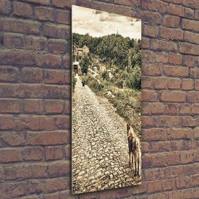 Verticale glasfoto Twee honden van de heuvel