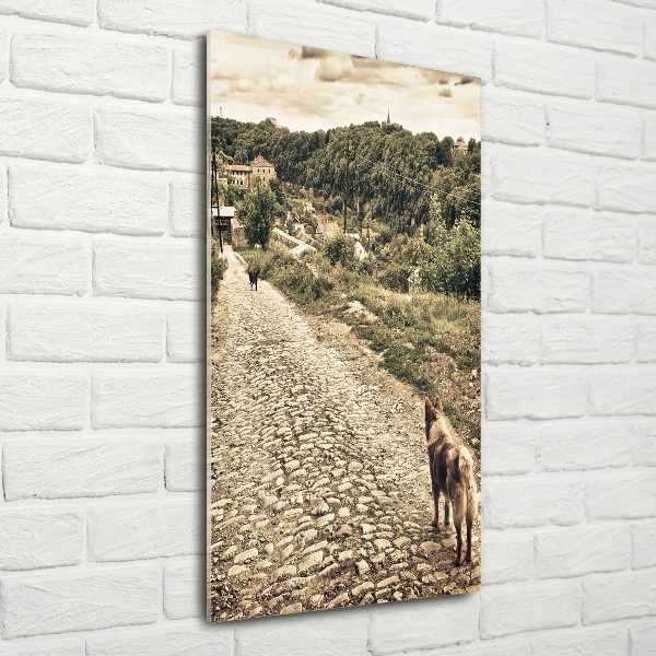 Verticale glasfoto Twee honden van de heuvel