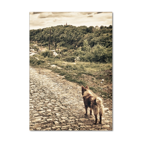 Verticale glasfoto Twee honden van de heuvel