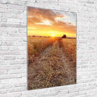 Verticale foto op glas Tarweveld
