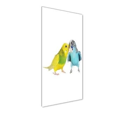 Verticale foto op glas Parkieten