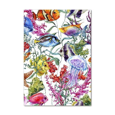 Verticale foto op glas Onderwaterwereld