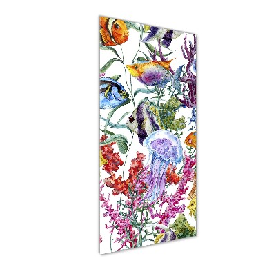 Verticale foto op glas Onderwaterwereld