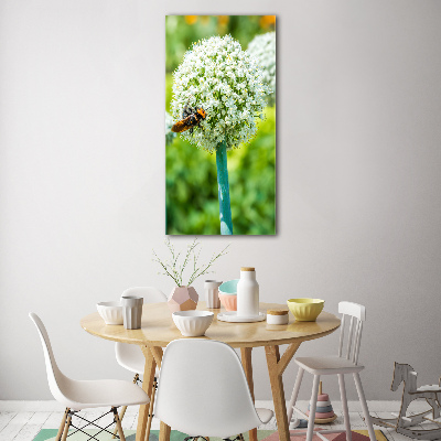 Verticale glasfoto Knoflookbloemen