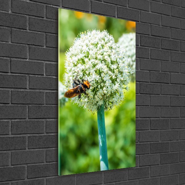 Verticale glasfoto Knoflookbloemen