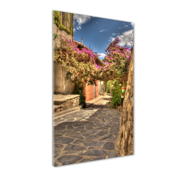 Verticale foto op glas Franse straten