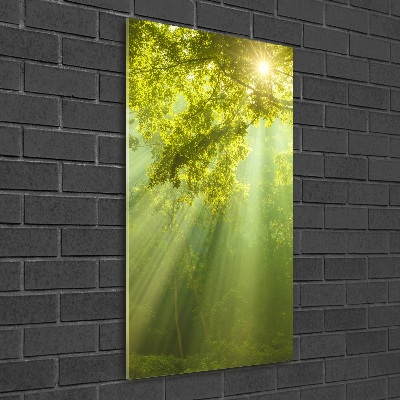 Verticaal glasschilderij De zon in het bos