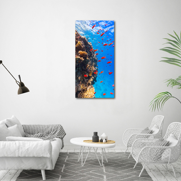 Verticale foto op glas Koraalrif