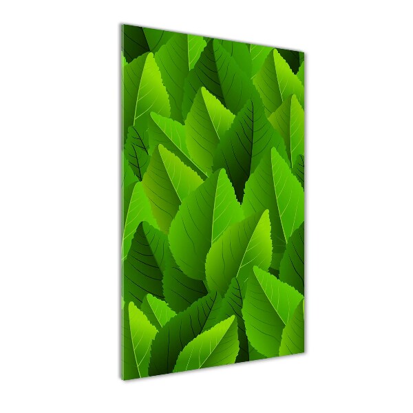 Verticale glasfoto Groene bladeren