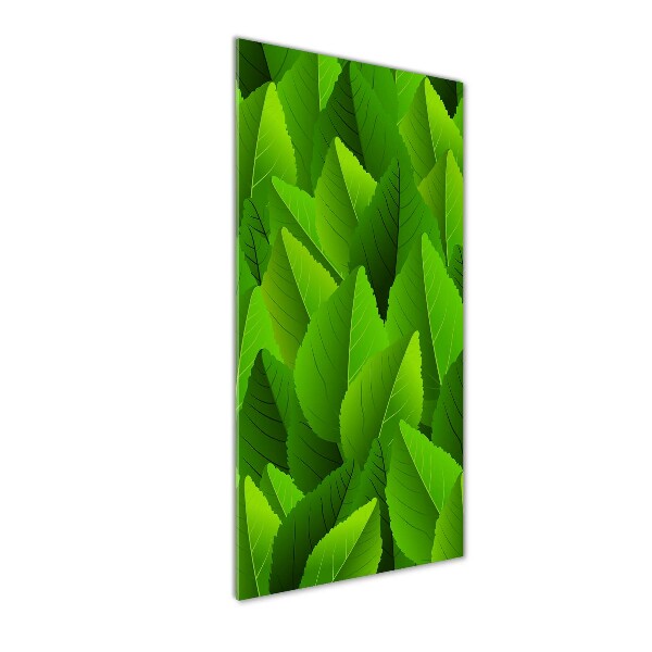 Verticale glasfoto Groene bladeren