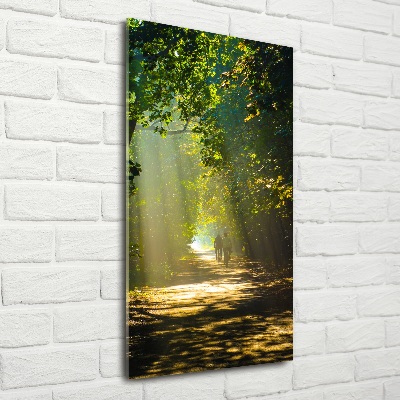 Verticale glasfoto Pad in het bos