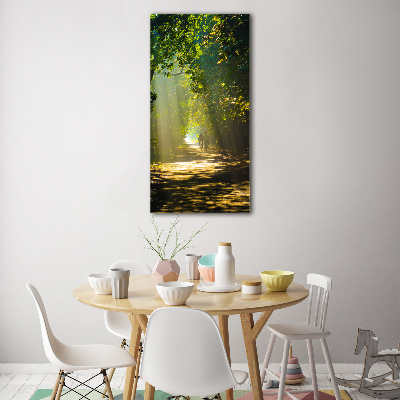 Verticale glasfoto Pad in het bos