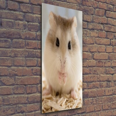Verticale foto op glas Hamster