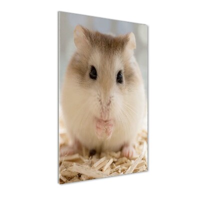 Verticale foto op glas Hamster