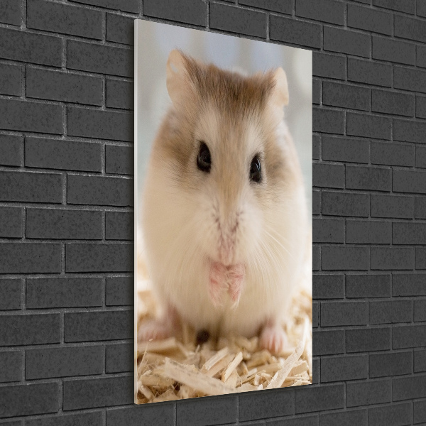 Verticale foto op glas Hamster